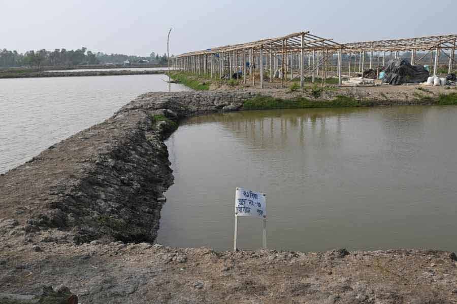 From Violence in Sandeshkhali to arrest of TMC Leader Shahjahan Sheikh, everything you need to know