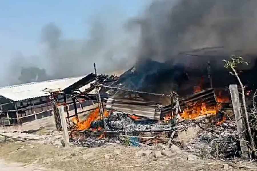 From Violence in Sandeshkhali to arrest of TMC Leader Shahjahan Sheikh, everything you need to know