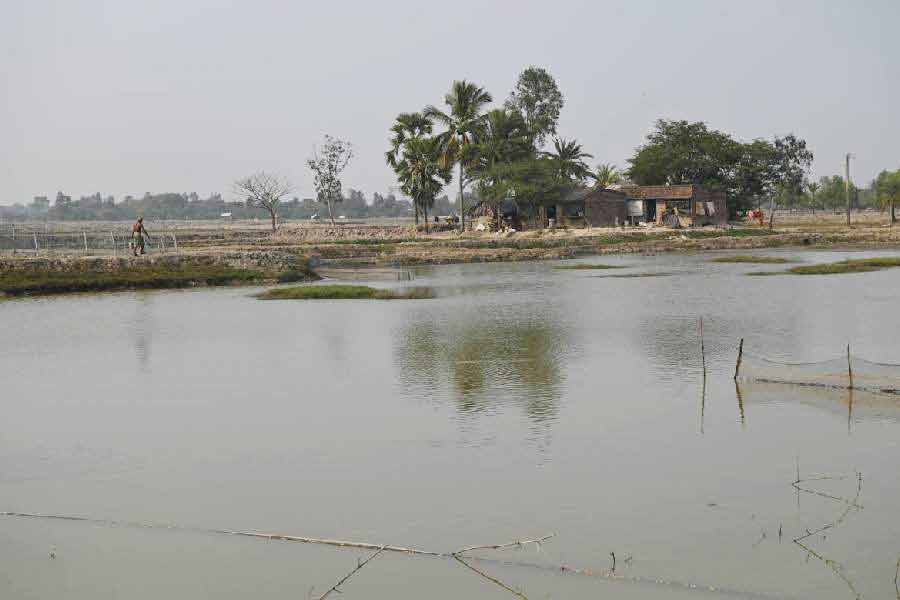 From Violence in Sandeshkhali to arrest of TMC Leader Shahjahan Sheikh, everything you need to know