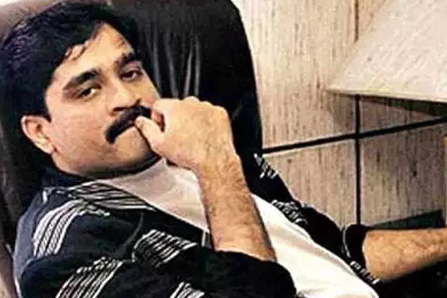 image of dawood 
