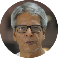 নৃসিংহপ্রসাদ ভাদুড়ী
