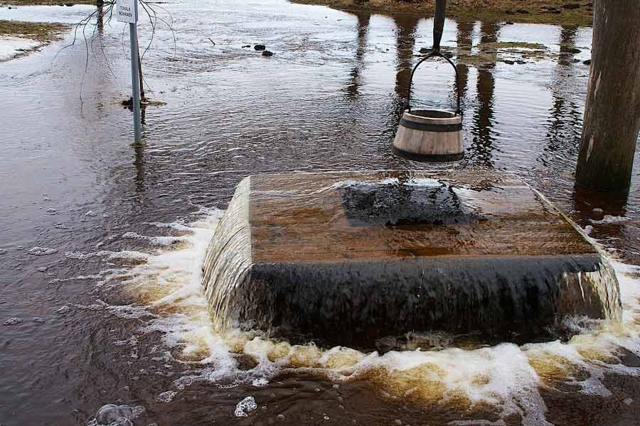 তবে সারা বছর নয়, বছরের একটি নির্দিষ্ট সময়েই নাকি তুঁত গাছের বাকলের মধ্যে থেকে জোর গতিতে বাইরে জল বেরিয়ে যায়। টানা এক-দু’দিন গাছ থেকে জল পড়ার পর তা আবার থেমে যায়।