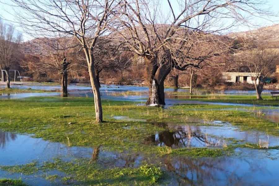 চাপের সমতা রক্ষার জন্য ভূগর্ভের জলধারাগুলি বাইরে বেরিয়ে আসার জন্য ফাঁকফোকর খুঁজতে থাকে। তুঁত গাছের গুঁড়ির গায়ে একটি ছোট গর্ত রয়েছে। মাটির তলায় জলধারাগুলিতে জলের পরিমাণ বৃদ্ধি পেলে তা বাকলের ভিতর দিয়ে ওই গর্তের মুখ দিয়ে বেরিয়ে আসে।