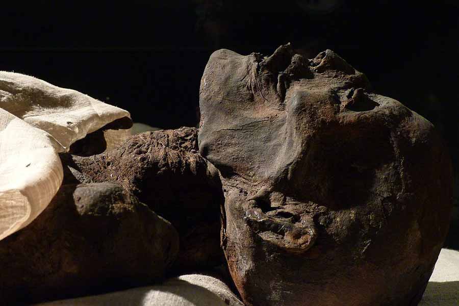 উইলিয়াম নাকি যাত্রীদের জানিয়েছিলেন যে টাইটানিকে একটি মমি রয়েছে। জাহাজের এক যাত্রীই নাকি মমিটি কিনে নিয়েছেন। টাইটানিক ডুবে যাওয়ার পর এই কথা লোকমুখে ছড়িয়ে যায়। অনেকে মনে করেছিলেন যে, জাহাজের ভিতর মমি ছিল বলেই তার অভিশাপে এই দুর্ঘটনা ঘটে।