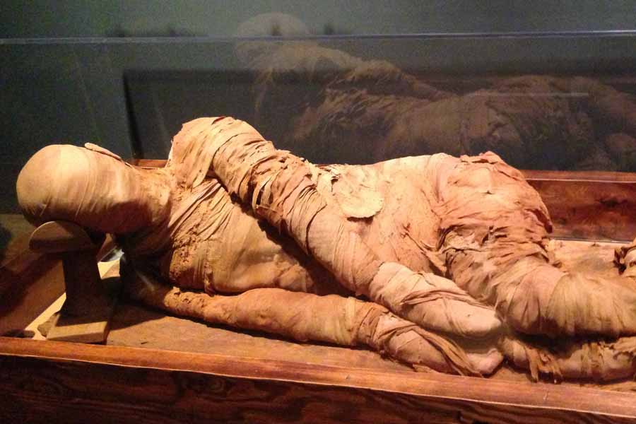 আবার অনেকের দাবি, জাহাজের এক যাত্রীর সংগ্রহে প্রচুর প্রাচীন জিনিসপত্র ছিল। তাঁর সংগ্রহে ছিল একটি মমিও। আমেরিকার একটি যাদুঘরে সেই মমিটি নিয়ে যাওয়ার কথা ছিল তাঁর। 