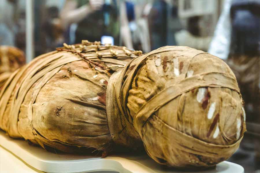 টাইটানিকে থাকা মমিটি নাকি ইজিপ্টের প্রাচীন দেবতা আমুনের মন্দিরের এক ভক্তের। এই মমির অভিশাপেই নাকি টাইটানিক ডুবে গিয়েছিল বলে কানাঘুষো শোনা যায়।