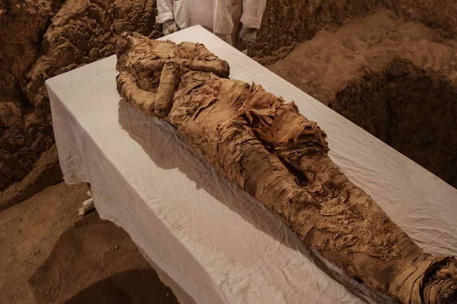 মমির মুখটি ছিল এক মহিলার। বাক্সের উপর হাতের আঙুলগুলি এমন ভাবে খোদাই করা হয়েছিল, যাতে মমির দেহটি সুরক্ষিত থাকে।