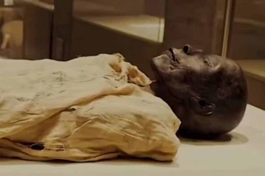 মমির বাক্সের গায়ে মহিলার নামোল্লেখ করা না থাকলেও মমির কাঠামোটি যে ধাঁচে তৈরি করা হয়েছিল, তা দেখে অনুমান করা যায় যে, ওই মহিলা ছিলেন উচ্চবংশীয়।