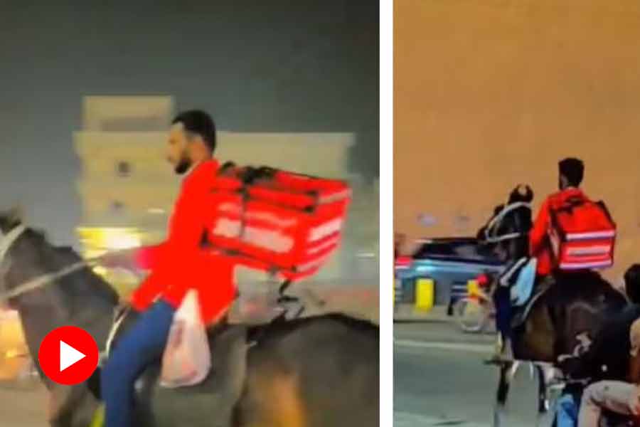 Zomato Executive Delivers Food in Hyderabad by Riding Horse amid fuel crisis.