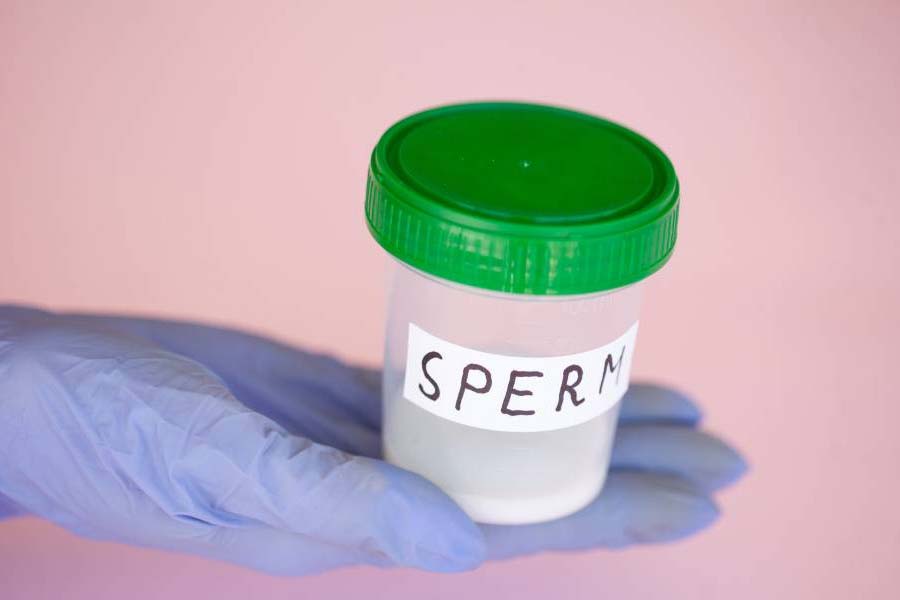 62 years old Australian Woman granted court permission to have Dead Husband\\\\\\\'s frozen sperm.