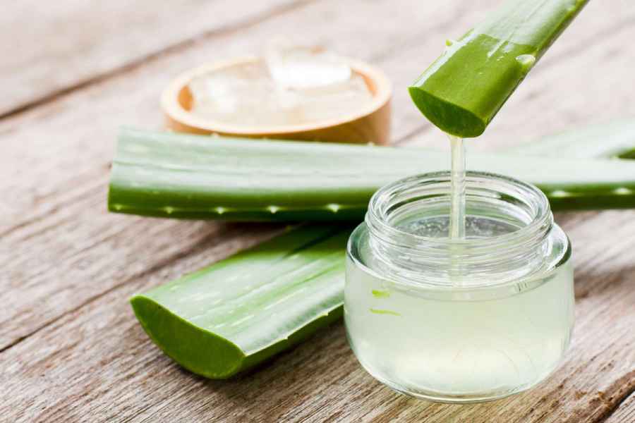 How to collect pulp from aloe vera leaf