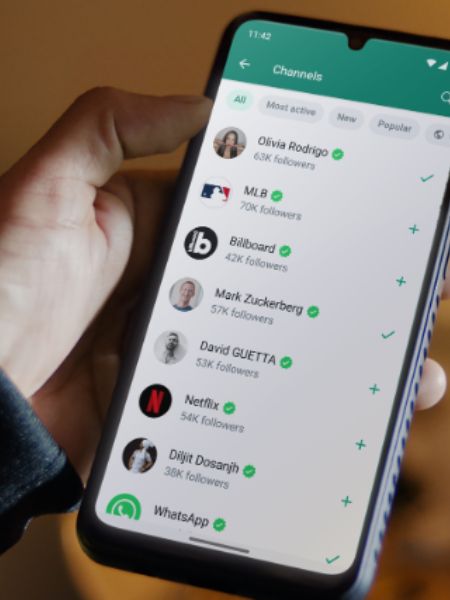 If you want to keep WhatsApp chat secure then you will have to pay every month dgtl