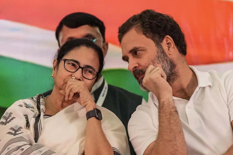 Mamata Banerjee and rahul gandhi.