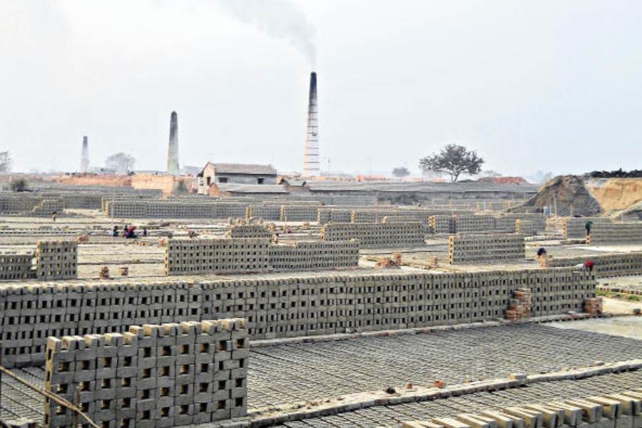 এক তৃণমূল নেতার দাবি, ধামাখালিতে ৪৫ বিঘা জমি নিয়ে দু’টি ইটভাটা করেছেন শাহজাহান। সেখানে রোজই দেখা যেত তাঁকে। বছর তিনেক আগে বসিরহাটের এক বাসিন্দার থেকে ভাটাগুলি কেনেন তিনি।