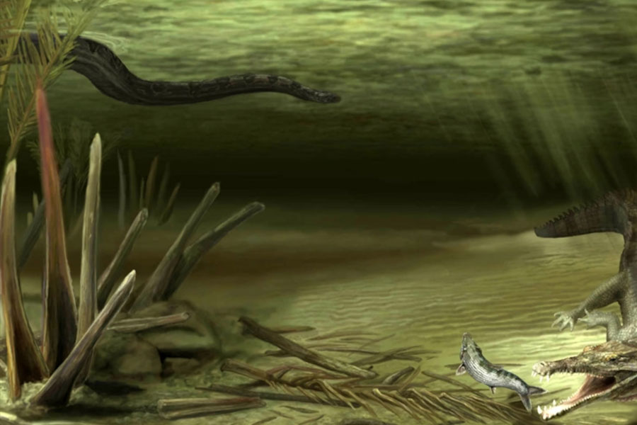 জীবাশ্মের পর্যবেক্ষণ করে বিজ্ঞানীরা জানিয়েছেন যে টাইটানোবোয়া ছিল ১৩ মিটার বা প্রায় ৪৩ ফুট লম্বা এবং এক মিটার চওড়া।