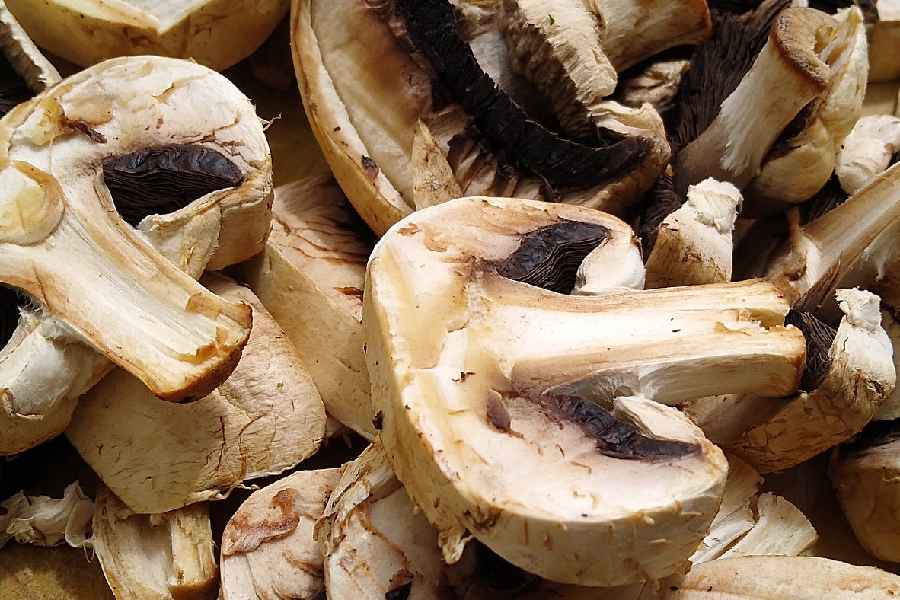 Three mushroom recipes that can help to boost Vitamin D in winter.