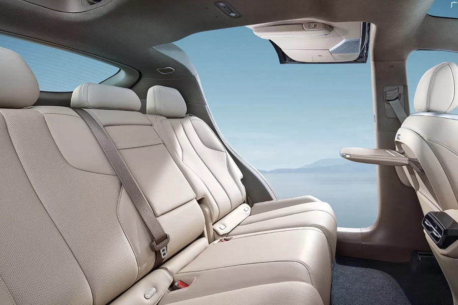 তবে অ্যামোনিয়া ইঞ্জিনের ব্যবহার ব়ৃদ্ধি পেলে বিপদের আশঙ্কাও রয়েছে। বাতাসে অ্যামোনিয়া গ্যাসের অধিক উপস্থিতি ক্ষতিকর।