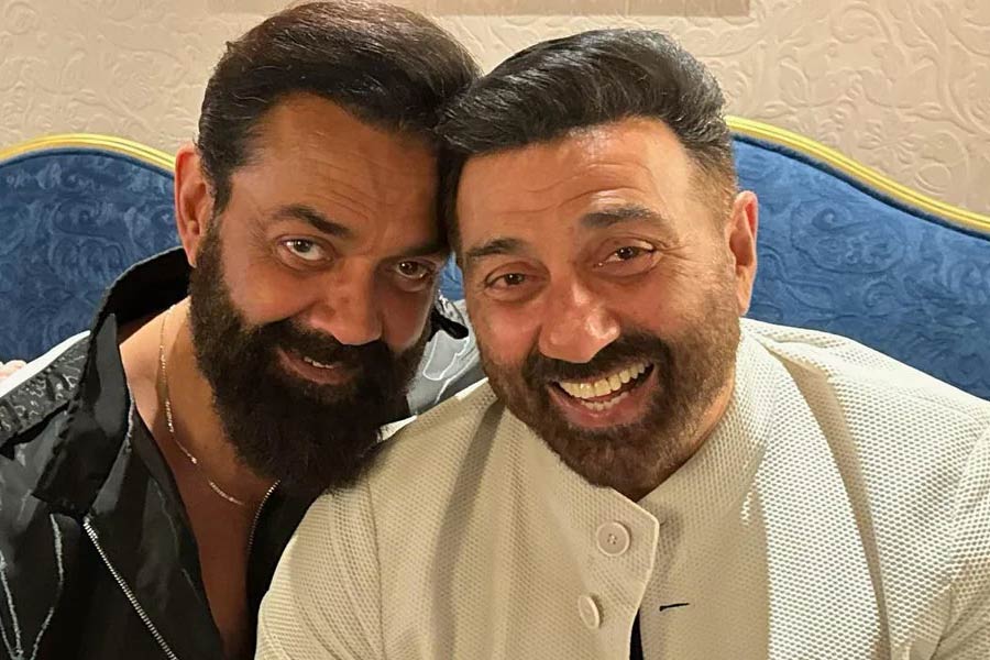 Sunny deol miss bobby deol starrer Animal Success Party here is the reason.
