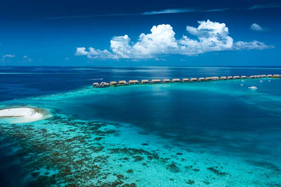 তারকাদের পাশাপাশি মলদ্বীপ সরকারের বিরুদ্ধে সরব হয়েছে আমজনতাও। সমাজমাধ্যমে মলদ্বীপকে বয়কট করা নিয়ে পোস্টের পর পোস্ট দিয়ে যাচ্ছেন নেটাগরিকদের একটা বড় অংশ।