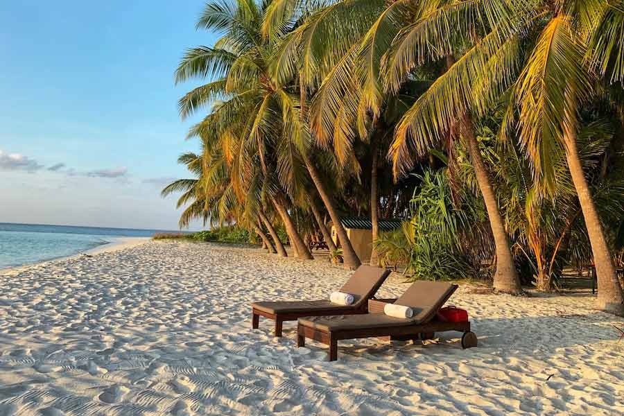 ভারতের এক জনপ্রিয় ভ্রমণ সংস্থা মলদ্বীপ যাওয়ার সমস্ত বিমানের টিকিট বুকিং বাতিল করে দিয়েছে ইতিমধ্যেই। ওই সংস্থার মালিক জানিয়েছেন, দেশের প্রতি আনুগত্য এবং সহানুভূতি থেকে তাঁরা এই সিদ্ধান্ত নিয়েছেন। রবিবার রাতে ওই সংস্থার প্রতিষ্ঠাতা নিশান্ত পিট্টি এক্স হ্যান্ডেলে লেখেন, ‘‘আমাদের দেশের পাশে দাঁড়িয়ে আমরা মলদ্বীপের সমস্ত বিমানের টিকিটের বুকিং বাতিল করে দিয়েছি।’’ অর্থাৎ, যাঁরা ওই সংস্থার মাধ্যমে মলদ্বীপে যাওয়ার বিমানের টিকিট কেটেছিলেন, তাঁদের টিকিট বাতিল করে দেওয়া হয়েছে।