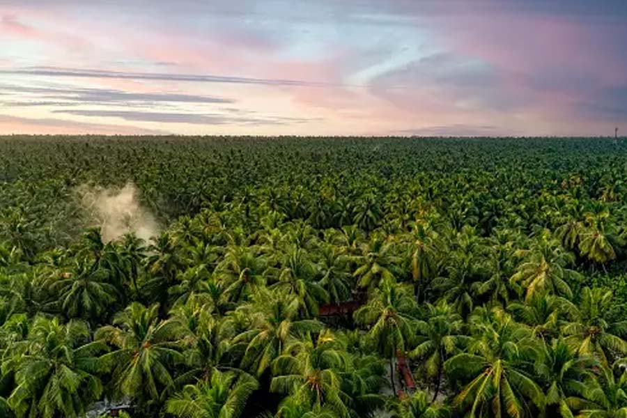 How India is planning to decorate Lakshadweep amid India-Maldives controversy