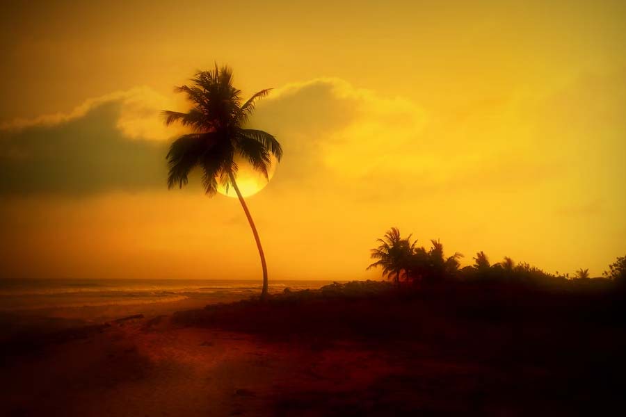 How India is planning to decorate Lakshadweep amid India-Maldives controversy