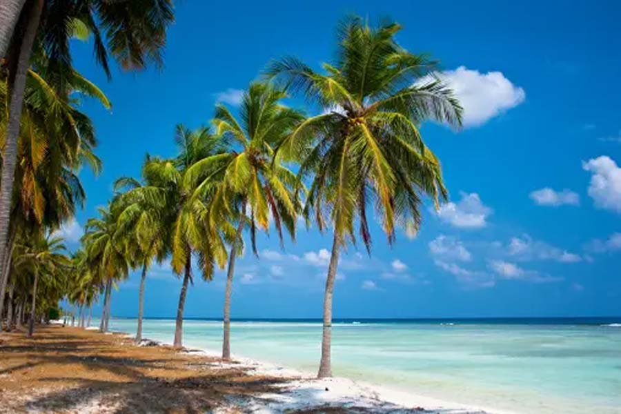 How India is planning to decorate Lakshadweep amid India-Maldives controversy