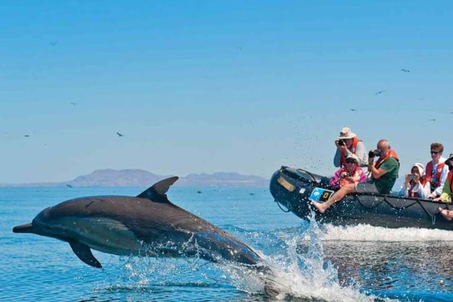 How India is planning to decorate Lakshadweep amid India-Maldives controversy