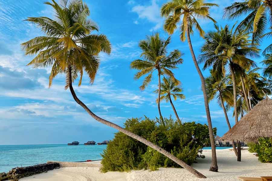 How India is planning to decorate Lakshadweep amid India-Maldives controversy