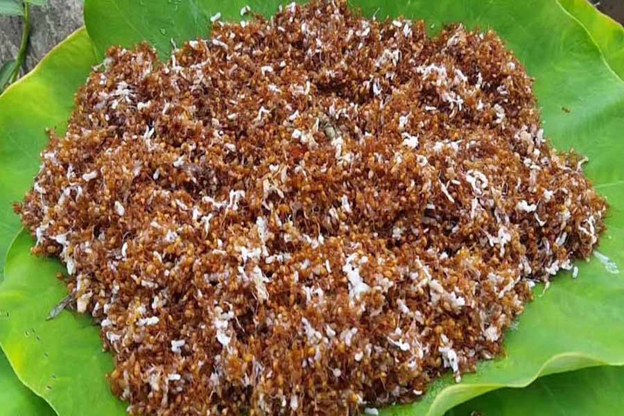 How to prepare Odisha’s famous Red Ant Chutney.