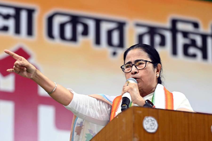 Mamata Banerjee is taking charge of the TMC leadership in the Lok Sabha elections