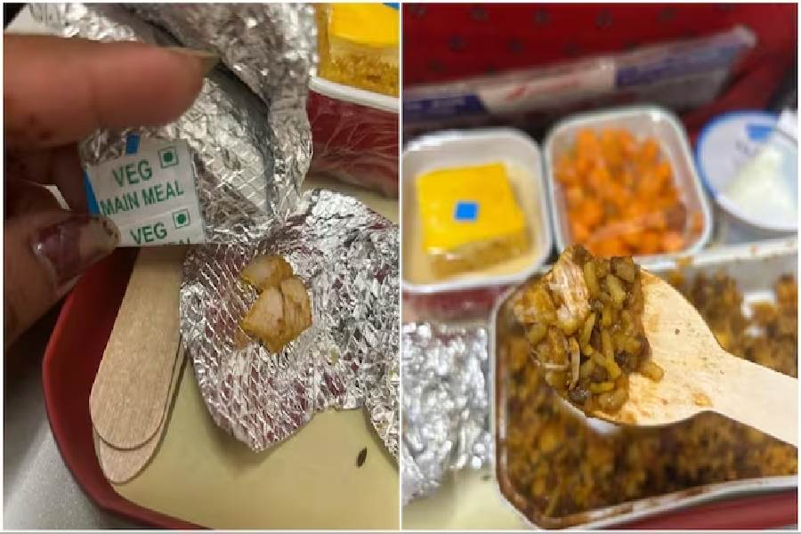 Air India passenger finds chicken in veg meal.