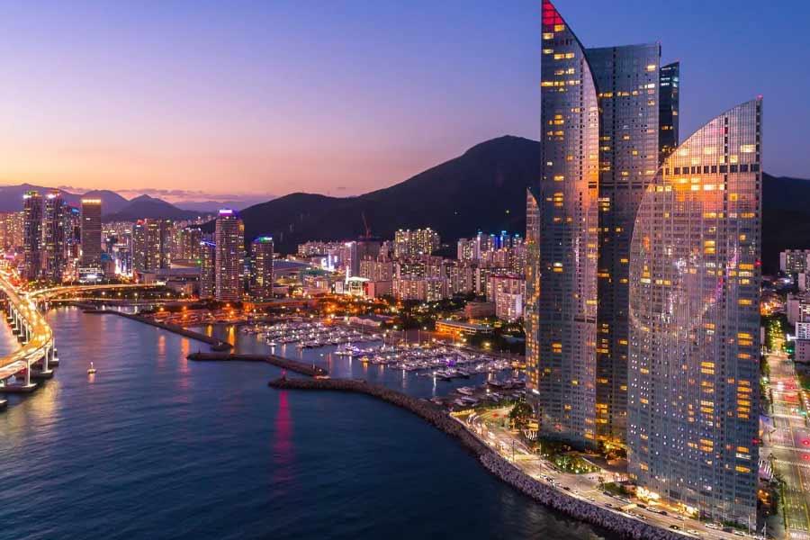 স্বাধীনতা লাভের পরেও দীর্ঘ দিন দক্ষিণ কোরিয়ার সঙ্গে ভারতের কোনও দ্বিপাক্ষিক সম্পর্ক গড়ে ওঠেনি। আমেরিকা ঘনিষ্ঠ এই দেশ দীর্ঘ সময় পর্যন্ত ভারতকে রাশিয়ার ‘বন্ধু’ মনে করে দূরে সরিয়ে রেখেছিল।