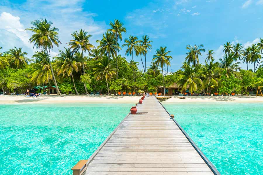 Maldives may take new decision on Food and Medicine import amid controversy with India