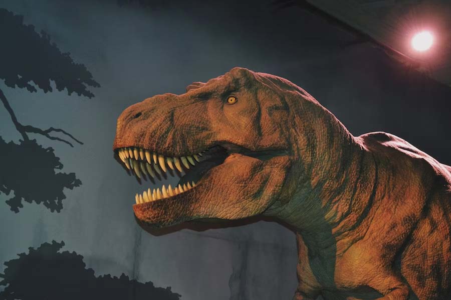 image of dinosaur 