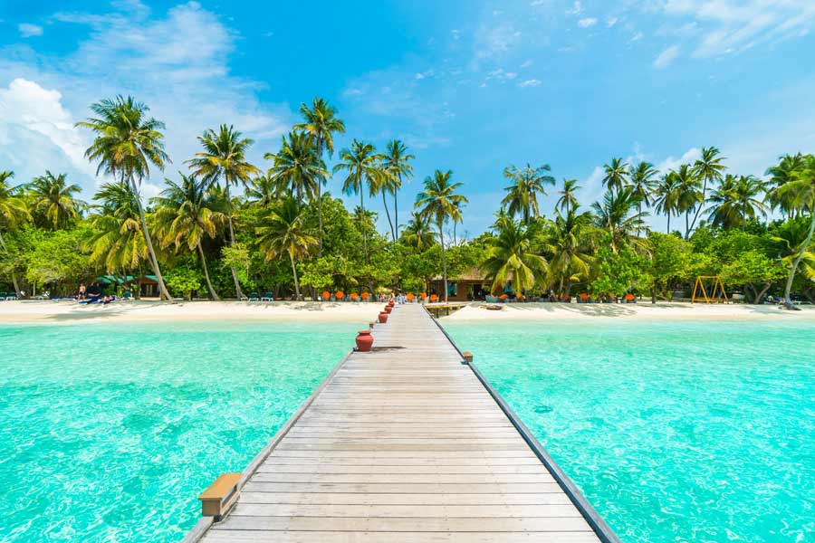 মলদ্বীপ সরকারের একটি সূত্র মারফত জানা গিয়েছে, সম্প্রতি এই কমিটির দ্বাদশ বৈঠকে ১৫ মার্চের মধ্যে সেনা সরানোর জন্য ভারতকে আর্জি জানানো হয়েছে। মুইজ্জুর সচিবালয়ের শীর্ষ আধিকারিক আবদুল্লা নাজ়িম ইব্রাহিম সে দেশের একটি সংবাদপত্রকে বলেছেন, “ভারতীয় সেনারা মলদ্বীপে থাকতে পারবেন না। কারণ, এটাই প্রেসিডেন্ট মুইজ্জু এবং তাঁর সরকারের সিদ্ধান্ত।” প্রসঙ্গত, এর আগেও ক্ষমতায় আসার পরে পরেই ভারতকে সেনা সরানোর আর্জি জানিয়েছিল মুইজ্জু সরকার।