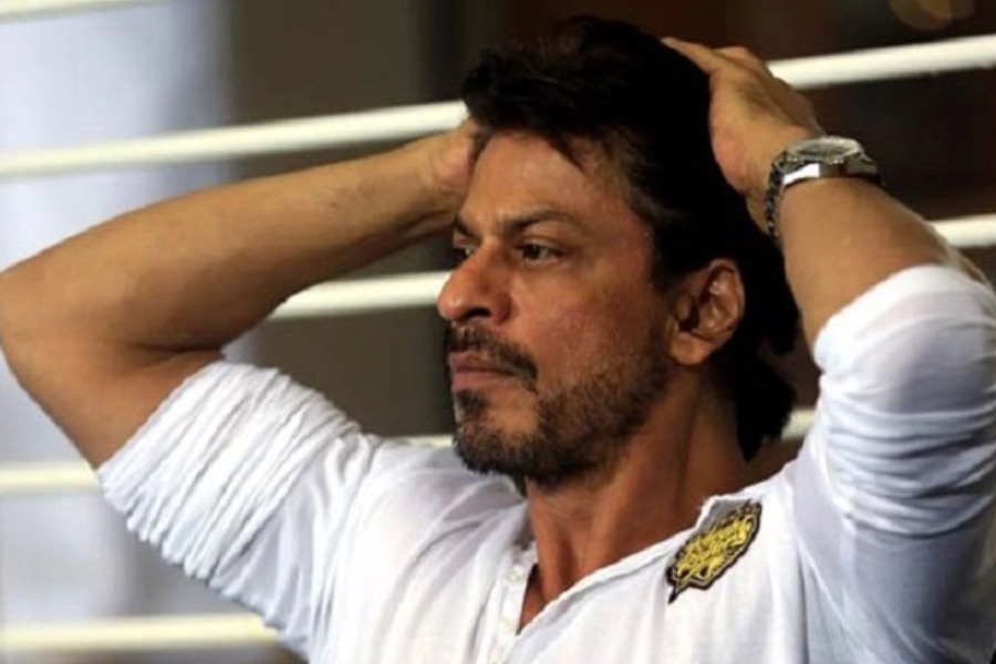 Shah Rukh khan got angry for burying his dog far away from his house
