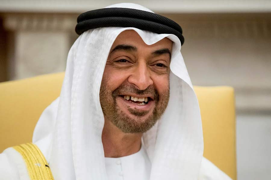 সারা বিশ্বে যে তৈল খনি রয়েছে তার ছয় শতাংশের মালিকানা রয়েছে আল নাহইয়ানের কাছে। তা ছাড়া এক্স (সাবেক টুইটার) সংস্থায় শেয়ার রয়েছে তাঁর।