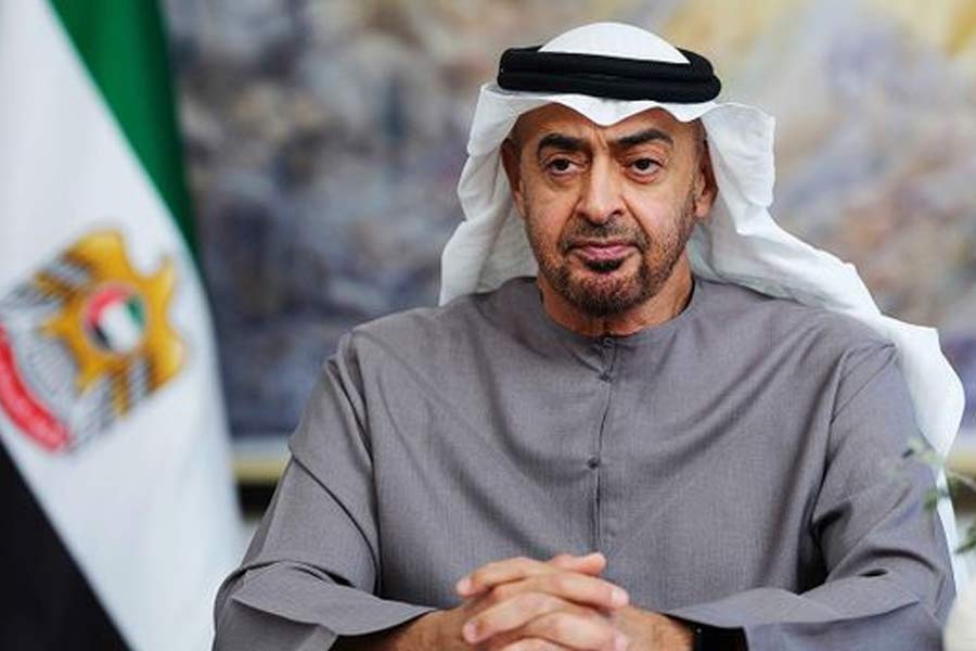 হলিউডি গায়িকা রিহানার রূপটান সংস্থায় অংশীদারিত্ব রয়েছে আল নাহইয়ানের। ১৮ জন ভাই এবং ১১ জন বোন নিয়ে পরিবার তাঁর। পুরো পরিবারে ১৮ জন নাতিনাতনিও রয়েছে।