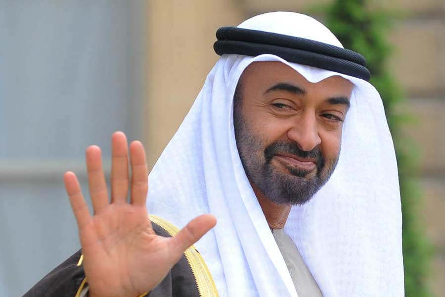 ২০১৫ সালে নিউ ইয়র্কের একটি সংবাদ সংস্থার প্রতিবেদন অনুযায়ী, তখনই ব্রিটিশ রাজপরিবারের সমান সম্পত্তি ছিল আল নাহইয়ানের।