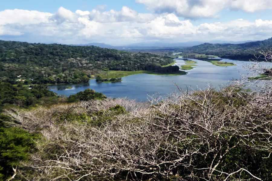 অতীতে সেখানে ছিল শুধুই ম্যানগ্রোভ। অন্য কোনও উদ্ভিদ সেখানে জন্মাত না। এর পর দুই পাতের সংঘর্ষ হয়। তার জেরে বদলাতে থাকে ভূমিরূপ। এই অঞ্চলে ঢুকে পড়ে মিষ্টি জল।