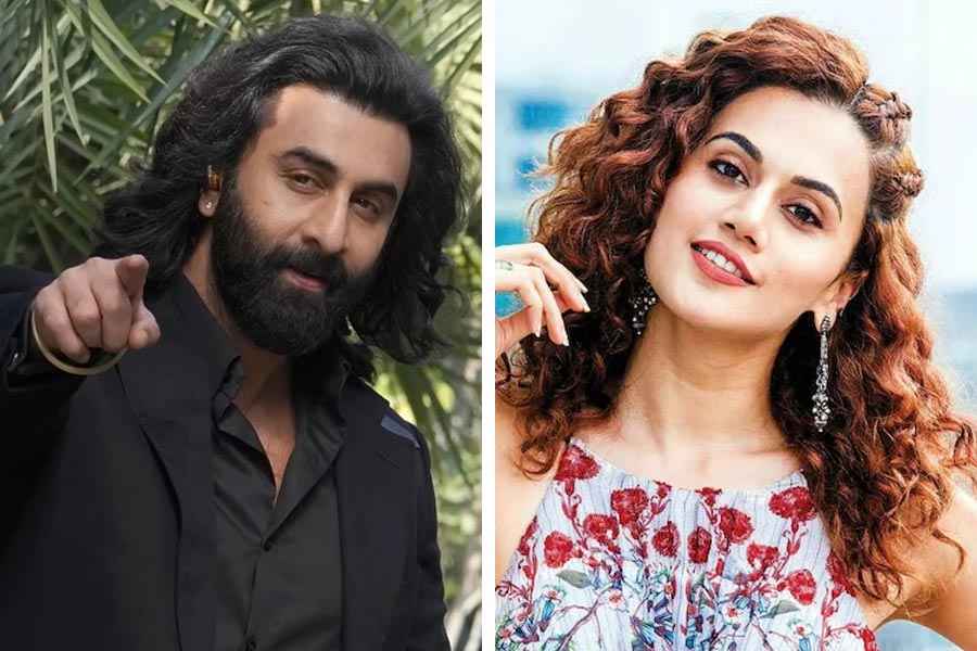Actress Taapsee Pannu shares her thought about Ranbir Kapoor’s Animal.