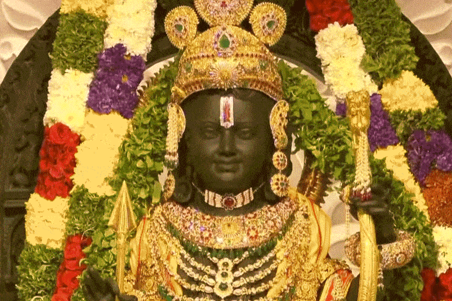 উদ্বোধনের দিন দেশ-বিদেশ থেকে খ্যাতনামী ব্যক্তিরা হাজির হয়েছিলেন ওই সময়ের সাক্ষী হতে। রামমন্দিরের এই উদ্বোধন অনুষ্ঠানও ছিল চোখে পড়ার মতো।