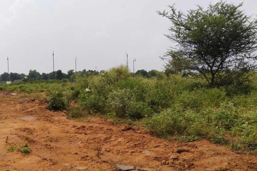 Number of Affluent Indians will increases over 100 million, says report