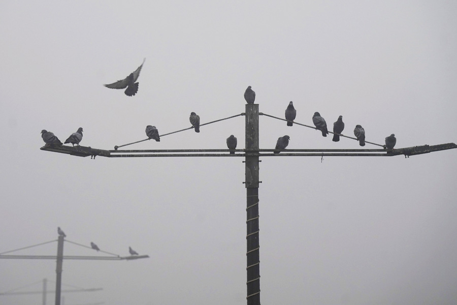 মাঘ মাসে জাঁকিয়ে বসেছে শীত। সোমবার থেকেই তাপমাত্রা এক ধাক্কায় তিন ডিগ্রি সেলসিয়াস কমে গিয়েছে। সোমবার কলকাতার সর্বনিম্ন তাপমাত্রা ছিল ১২ ডিগ্রি সেলসিয়াসের ঘরে। মঙ্গলবার তার আরও পারদপতন হয়েছে।