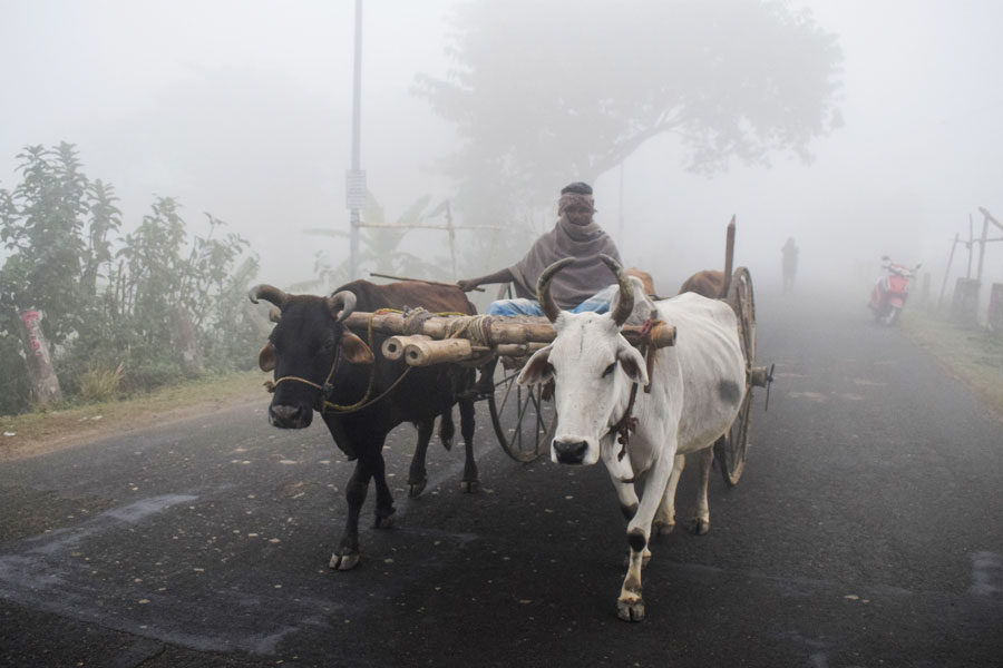 মরসুমের শীতলতম দিনে শিলিগুড়ির চেয়েও তাপমাত্রা কম মুর্শিদাবাদ জেলার। মঙ্গলবার শিলিগুড়ির সর্বনিম্ন তাপমাত্রা ৬.৮ ডিগ্রি সেলসিয়াস।