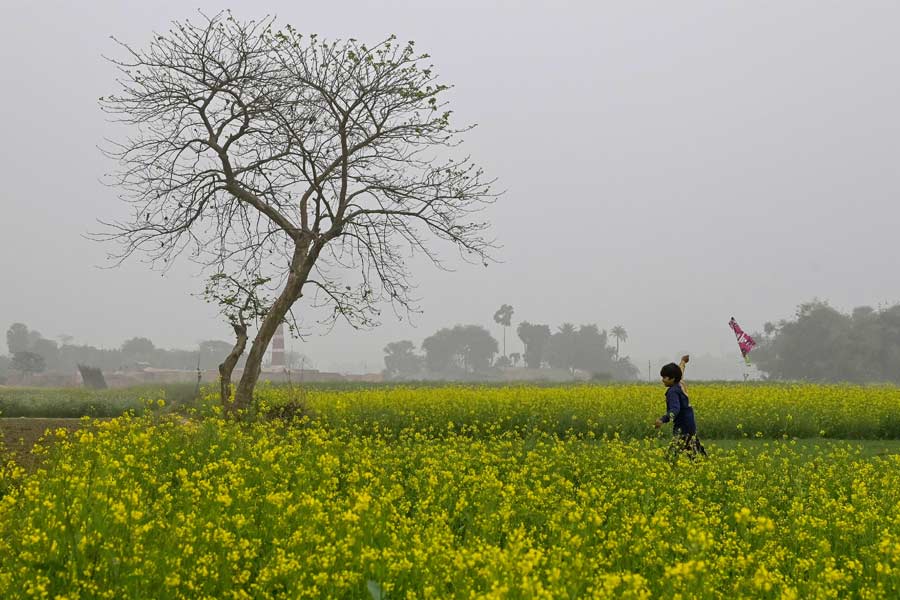 দশ ডিগ্রি সেলসিয়াসের নীচে তাপমাত্রা রয়েছে কালিম্পং, জলপাইগুড়ি, কোচবিহার জেলার পাশাপাশি বাঁকুড়া এবং বর্ধমান জেলায়।