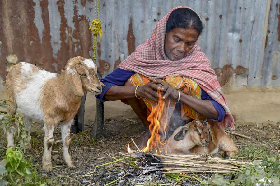কালিম্পং জেলার মতোই আট ডিগ্রি সেলসিয়াসের ঘরে রয়েছে বাঁকুড়া এবং বর্ধমান জেলার তাপমাত্রা। মঙ্গলবার দুই জেলার সর্বনিম্ন তাপমাত্রা যথাক্রমে ৮.৪ এবং ৮.৬ ডিগ্রি সেলসিয়াস।