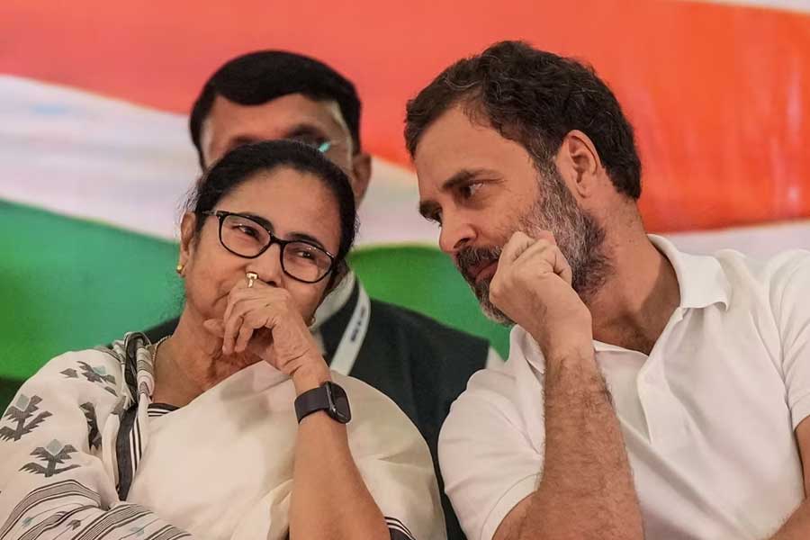 I have a great rapport with Mamata Banerjee, said Rahul Gandhi