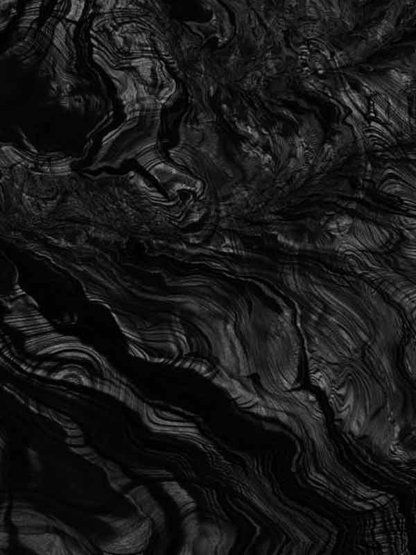 সূত্রের খবর, রামমন্দিরের জন্য মন্দির কর্তৃপক্ষ তিনটি মূর্তি তৈরির বরাত দিয়েছিলেন। মূর্তি তৈরির জন্য নেপাল থেকে শালগ্রাম শিলা আনা হয়েছিল। কিন্তু তা মূর্তি তৈরির কাজে লাগেনি। কারণ, খোদাইয়ের সময় বার বার সেই পাথর ভেঙে যাচ্ছিল। পরে ঠিক হয় কালো পাথরের মূর্তি তৈরি হবে।